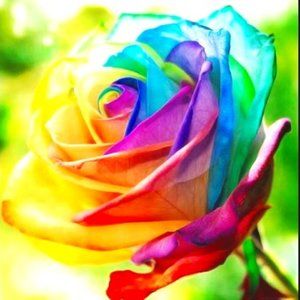 Meet your Posher, Beatrix